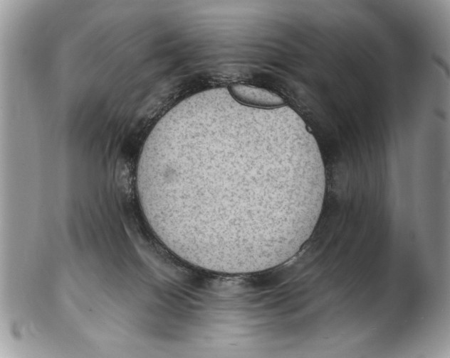 X0000102390086200808221835