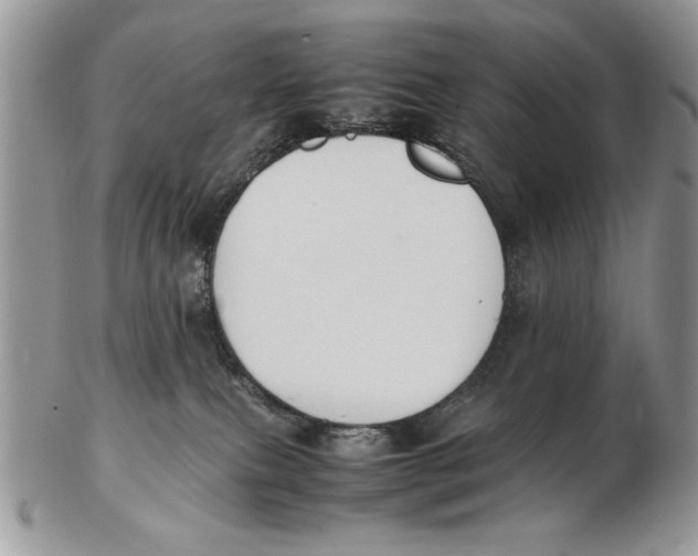 X0000102390087200808221835