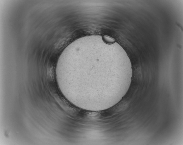 X0000102390088200808221835