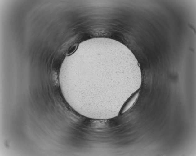 X0000102390089200808221835