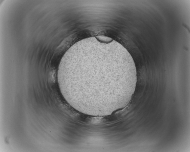 X0000102390090200808221835