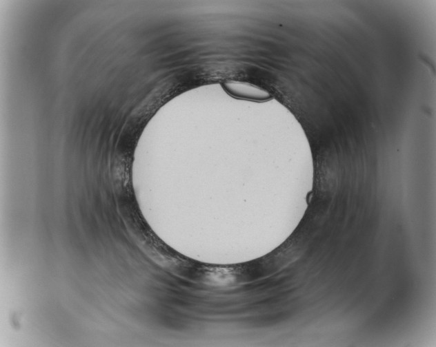 X0000102390091200808221835