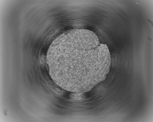 X0000102390093200808221835
