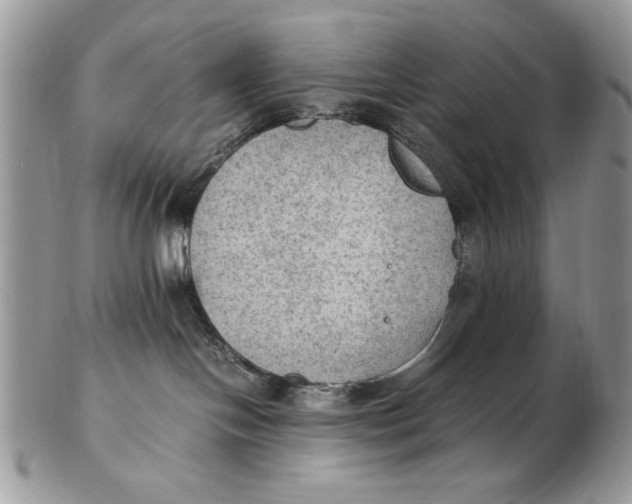 X0000102390094200808221835