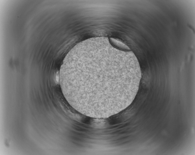 X0000102390095200808221835