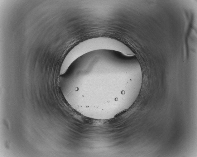 X0000102390096200808221835