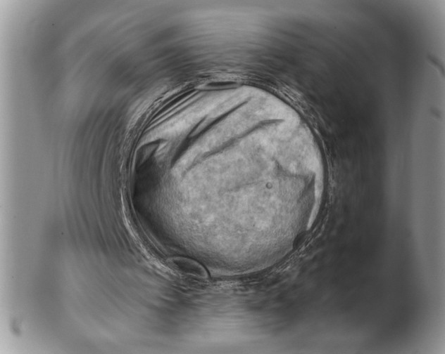 X0000102390097200808221834