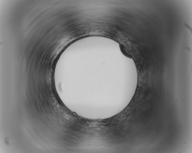 X0000102390098200808221834