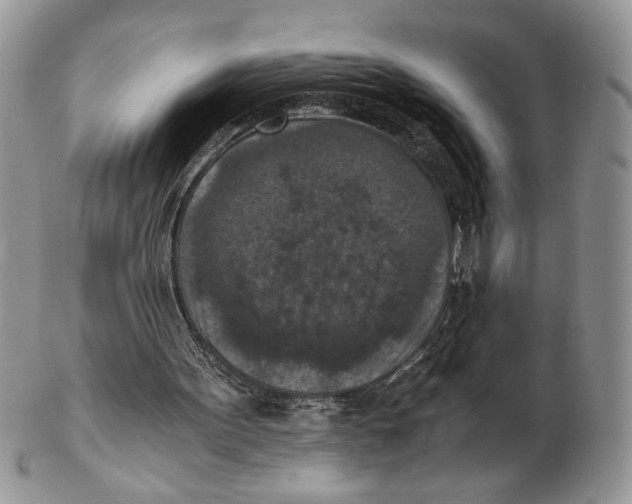 X0000102390099200808221834
