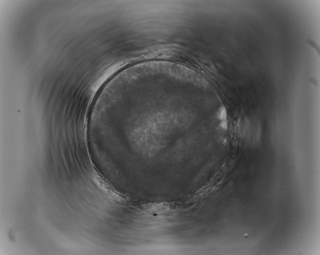 X0000102390100200808221834
