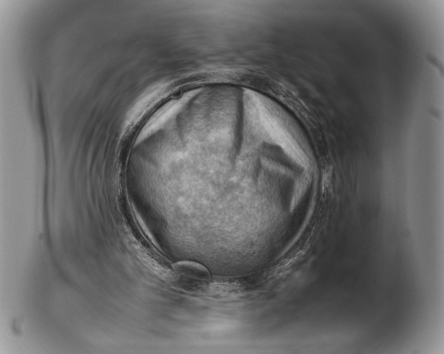 X0000102390101200808221834