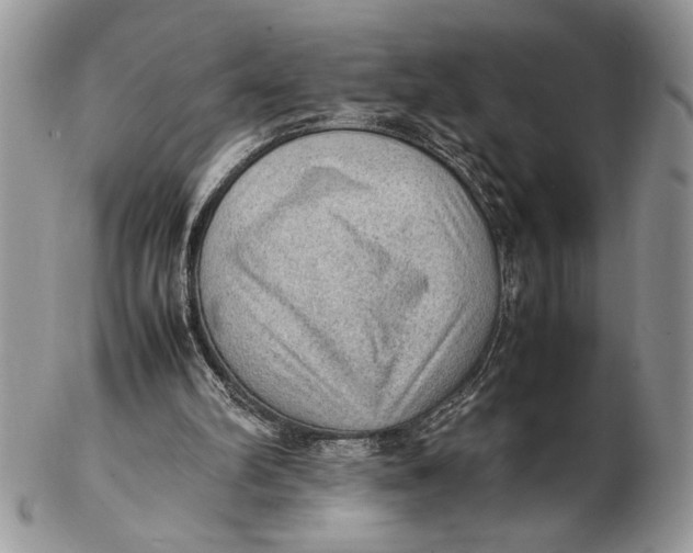 X0000102390102200808221834