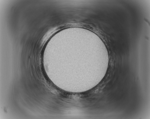 X0000102390103200808221834