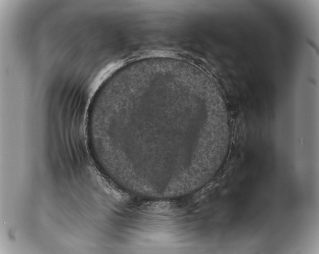X0000102390104200808221834