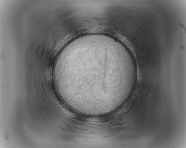 X0000102390105200808221834