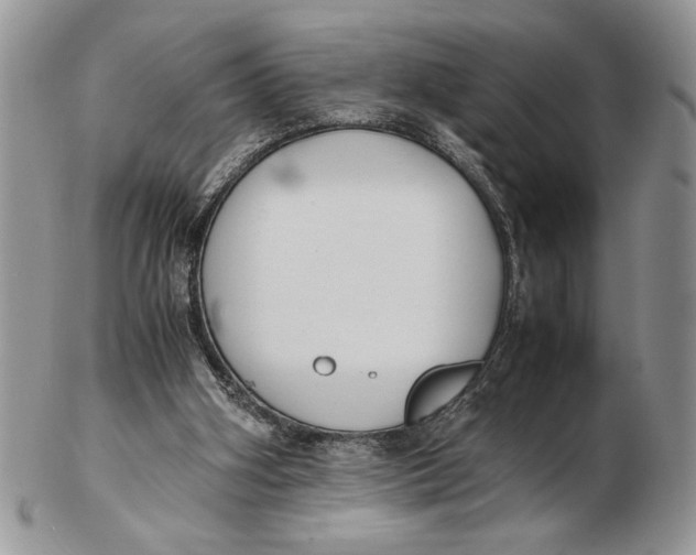 X0000102390106200808221834