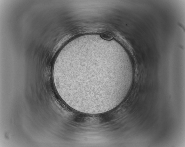 X0000102390107200808221834