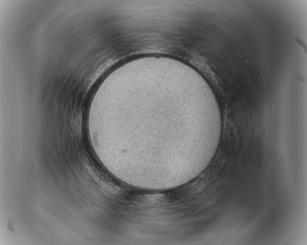 X0000102390108200808221834