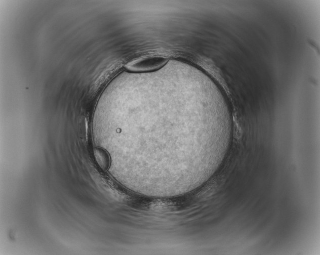 X0000102390109200808221834