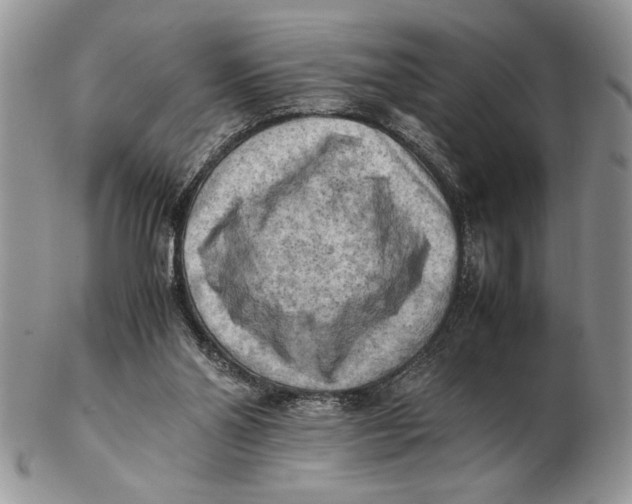 X0000102390110200808221834
