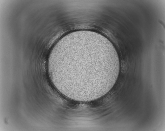 X0000102390111200808221834
