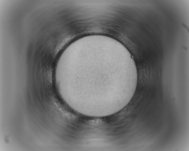 X0000102390112200808221834