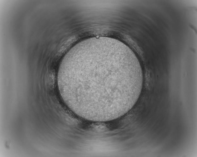 X0000102390113200808221834