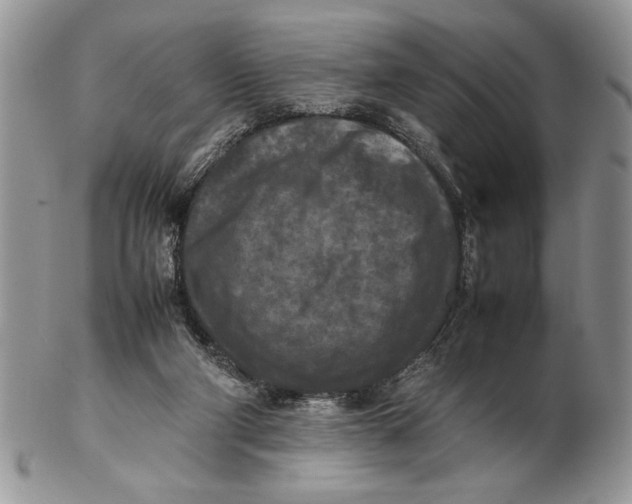 X0000102390114200808221834