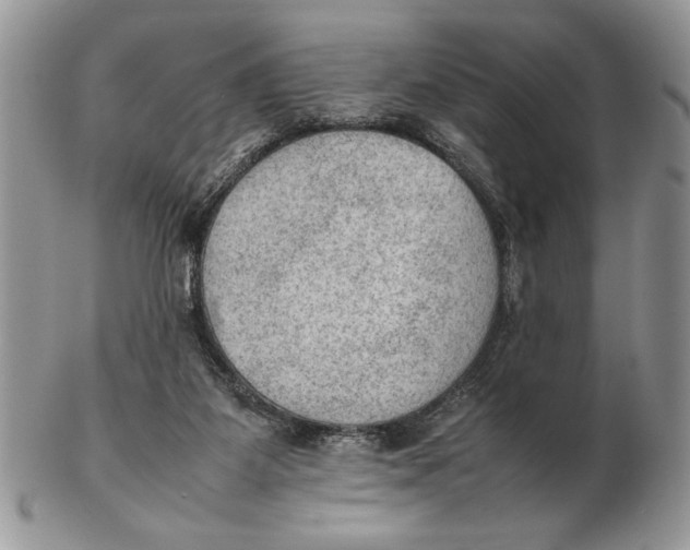 X0000102390115200808221834