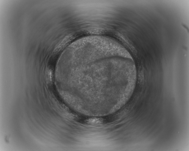 X0000102390117200808221834