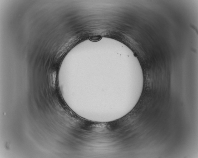 X0000102390118200808221834