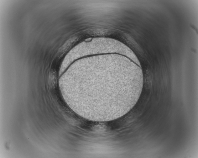 X0000102390119200808221834