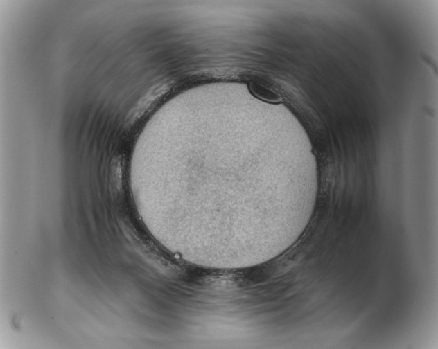 X0000102390120200808221834