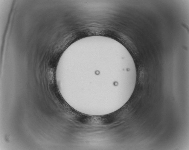X0000102390121200808221834