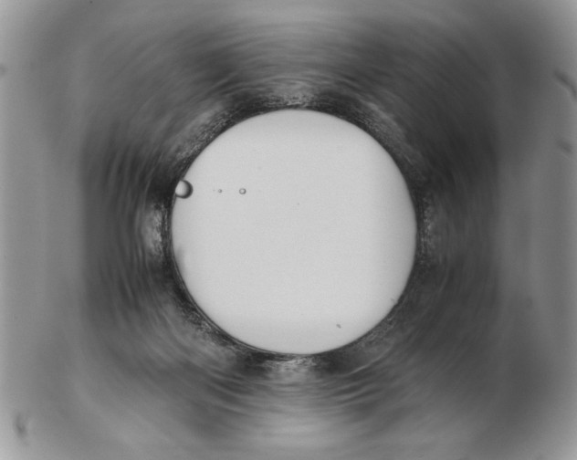 X0000102390122200808221834