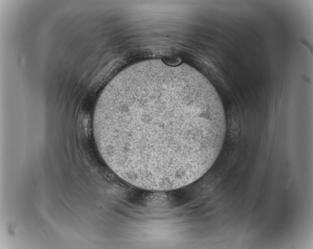 X0000102390123200808221834