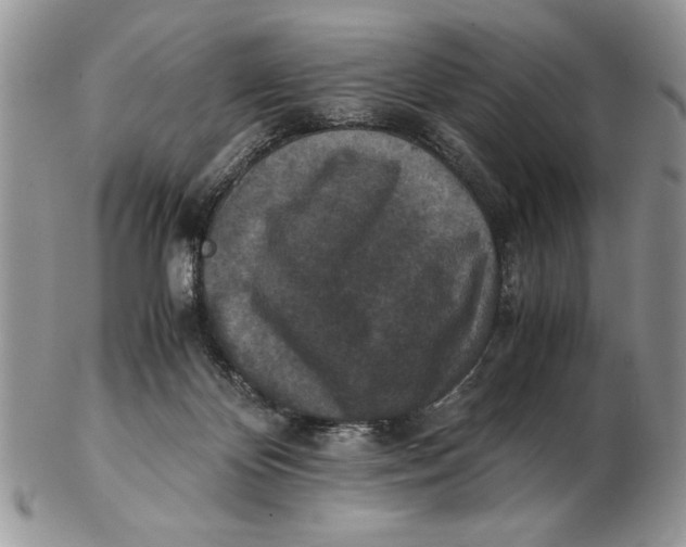 X0000102390124200808221834