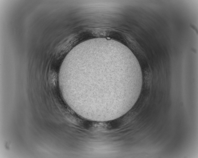 X0000102390125200808221834