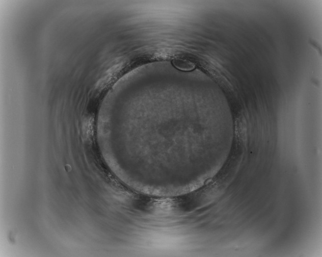X0000102390127200808221834