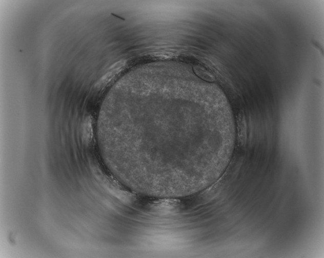 X0000102390128200808221834