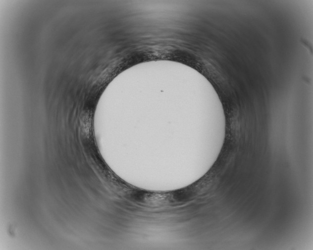 X0000102390129200808221834