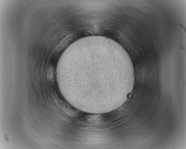 X0000102390132200808221834