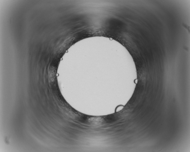 X0000102390133200808221834