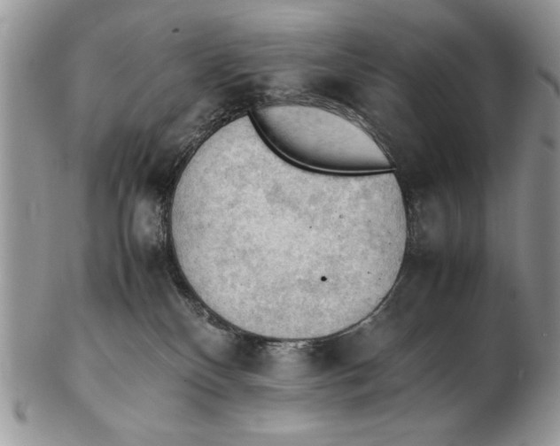 X0000102390136200808221834