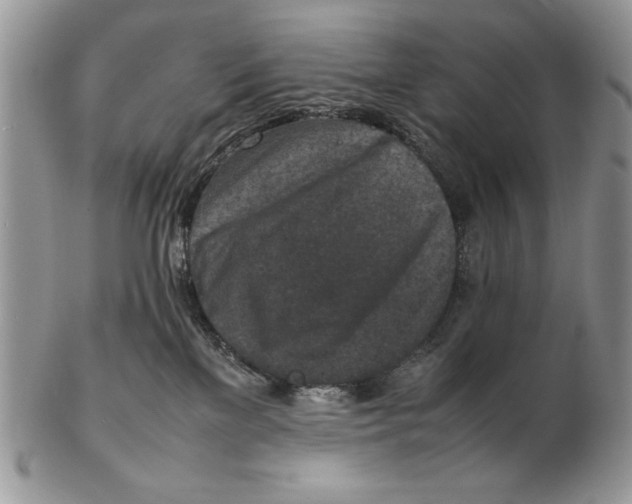 X0000102390137200808221834