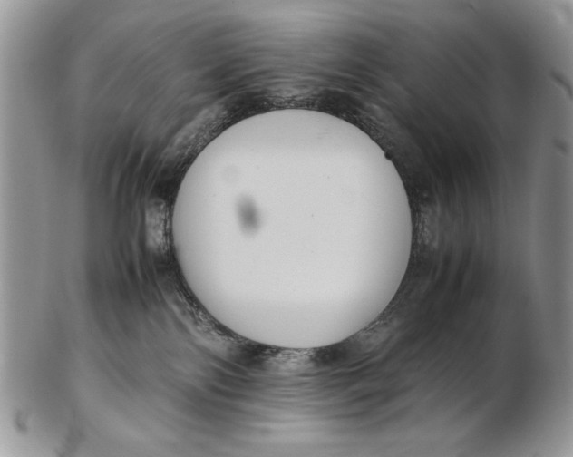 X0000102390138200808221833