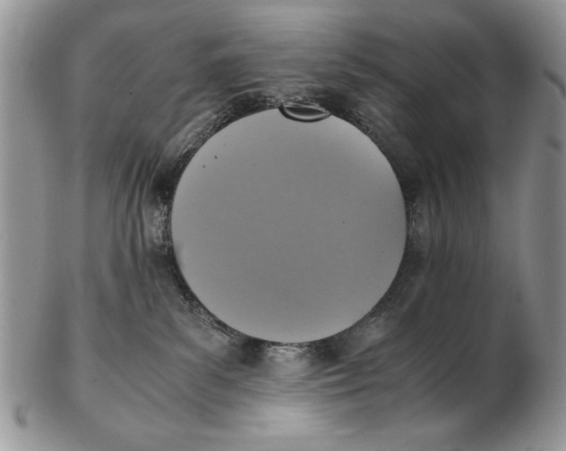 X0000102390139200808221833