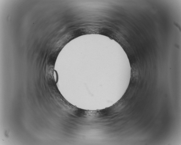 X0000102390141200808221833