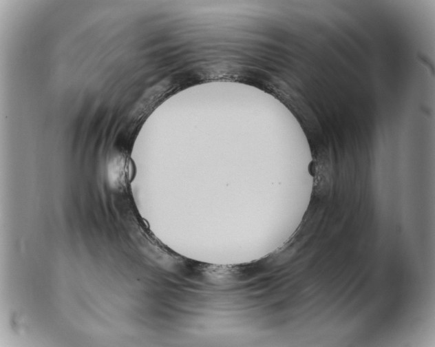 X0000102390142200808221833