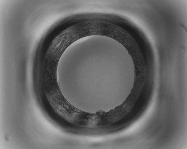 X0000102390143200808221833